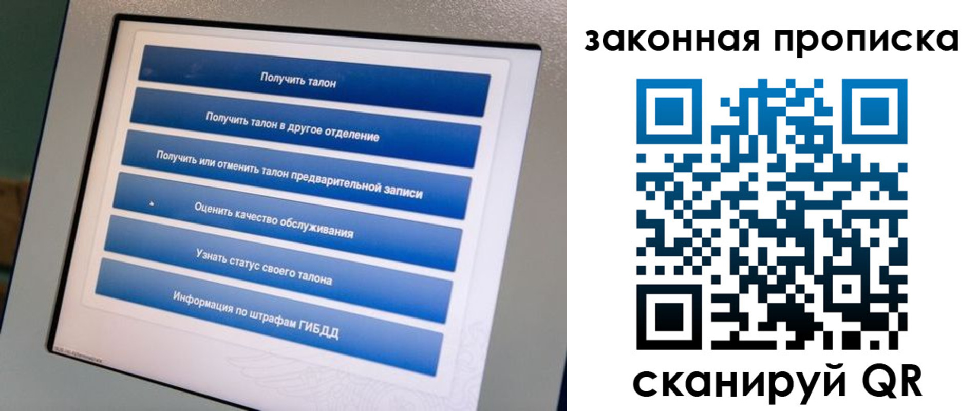 прописка 2025 в Мончегорске